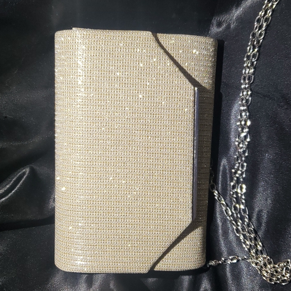 Gold and silver shimmer purse